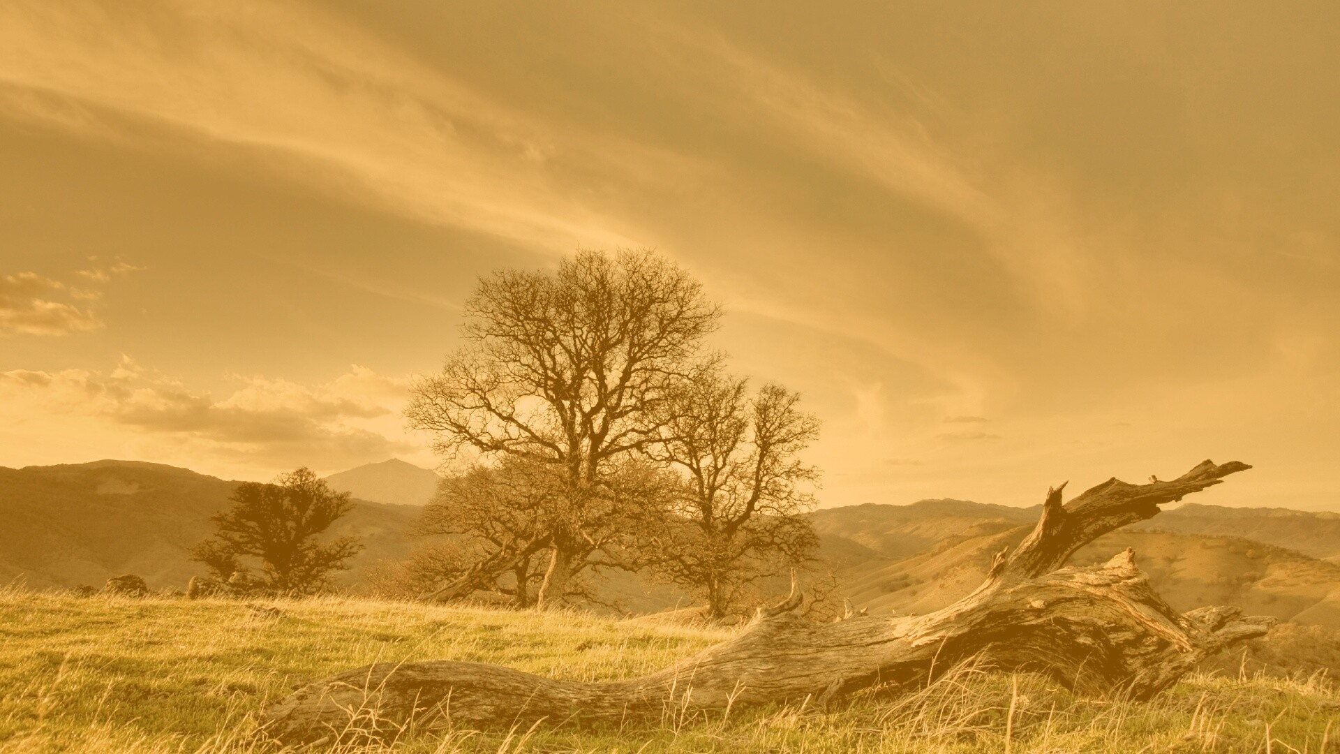 Чистая природа обои