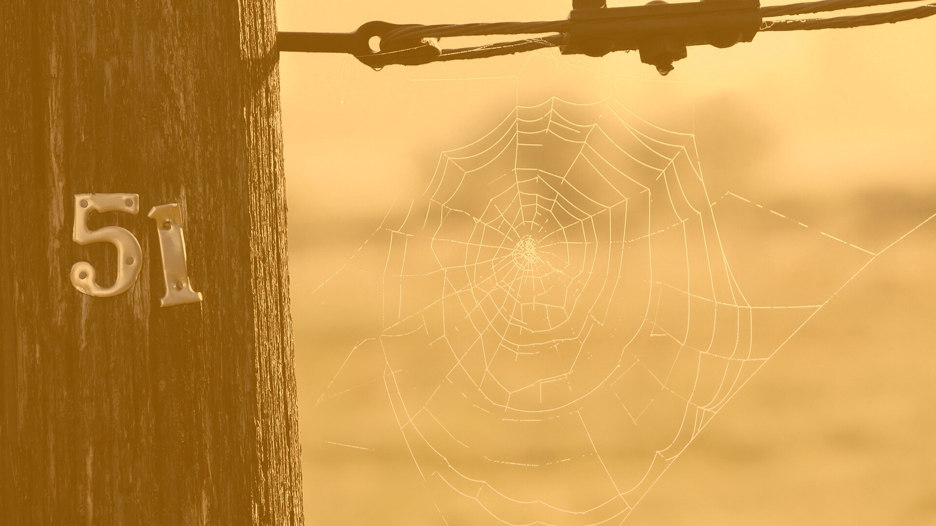 Паутина 51 обои