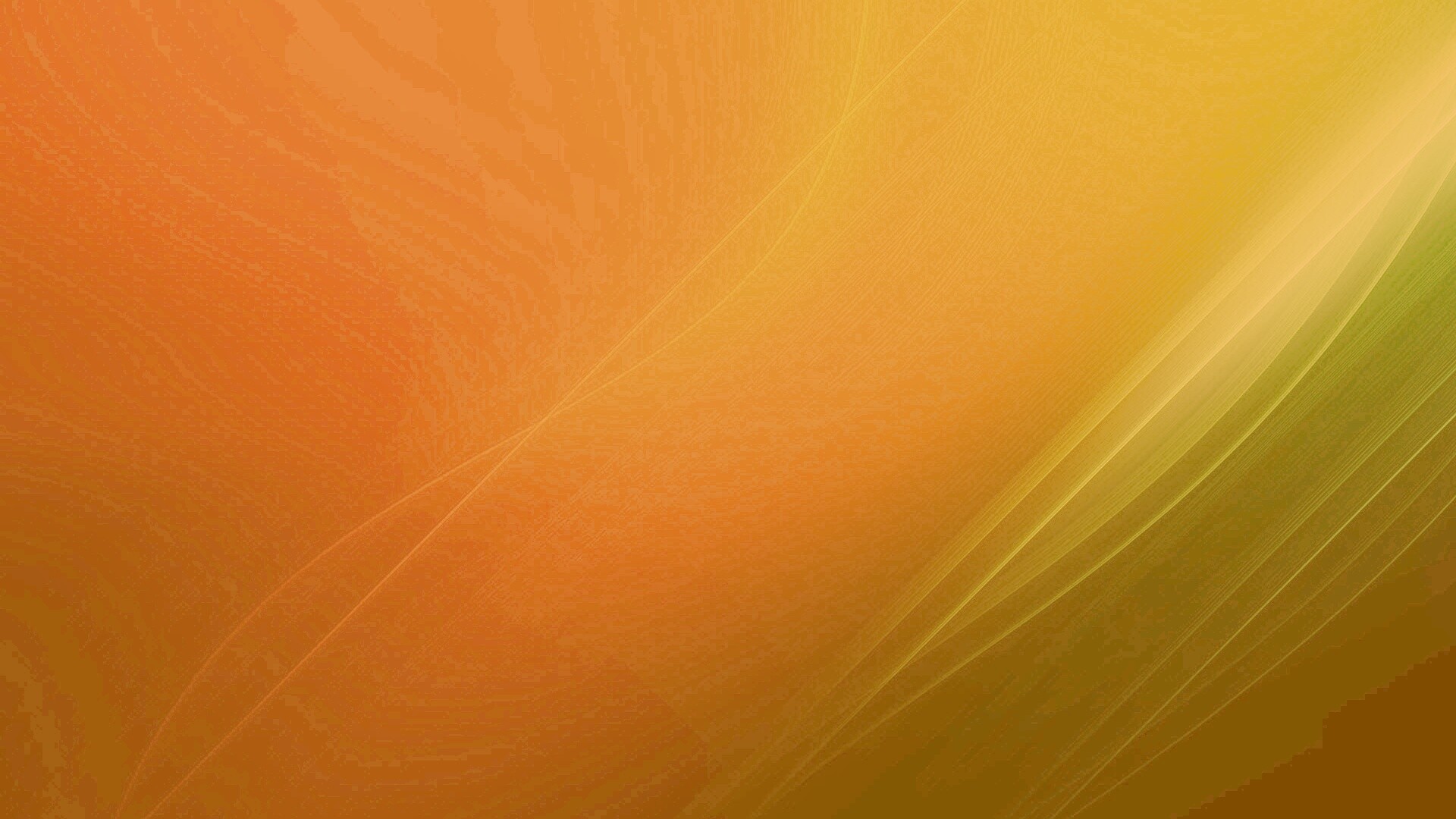 Буйство красок обои