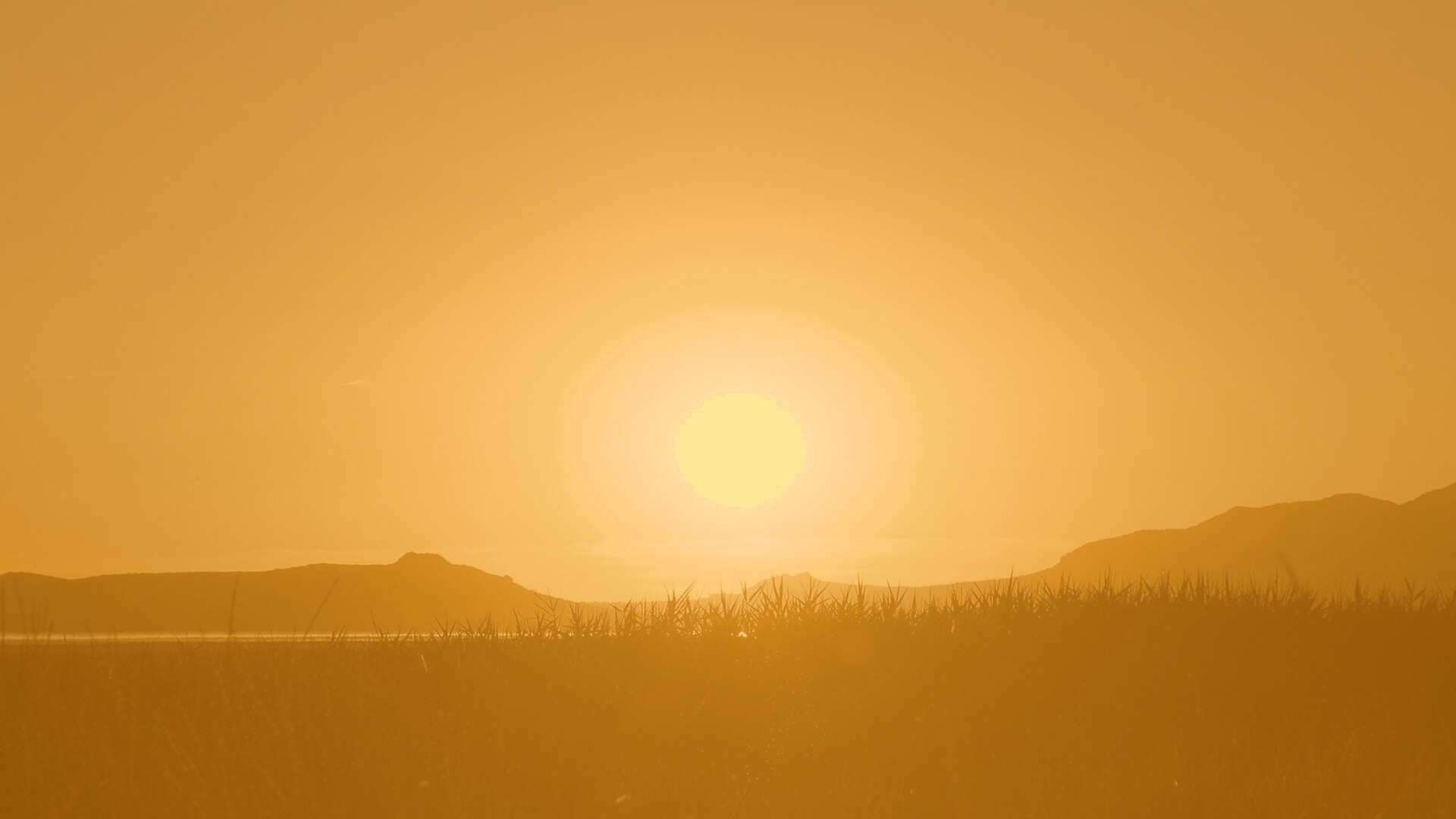 Сельский закат обои