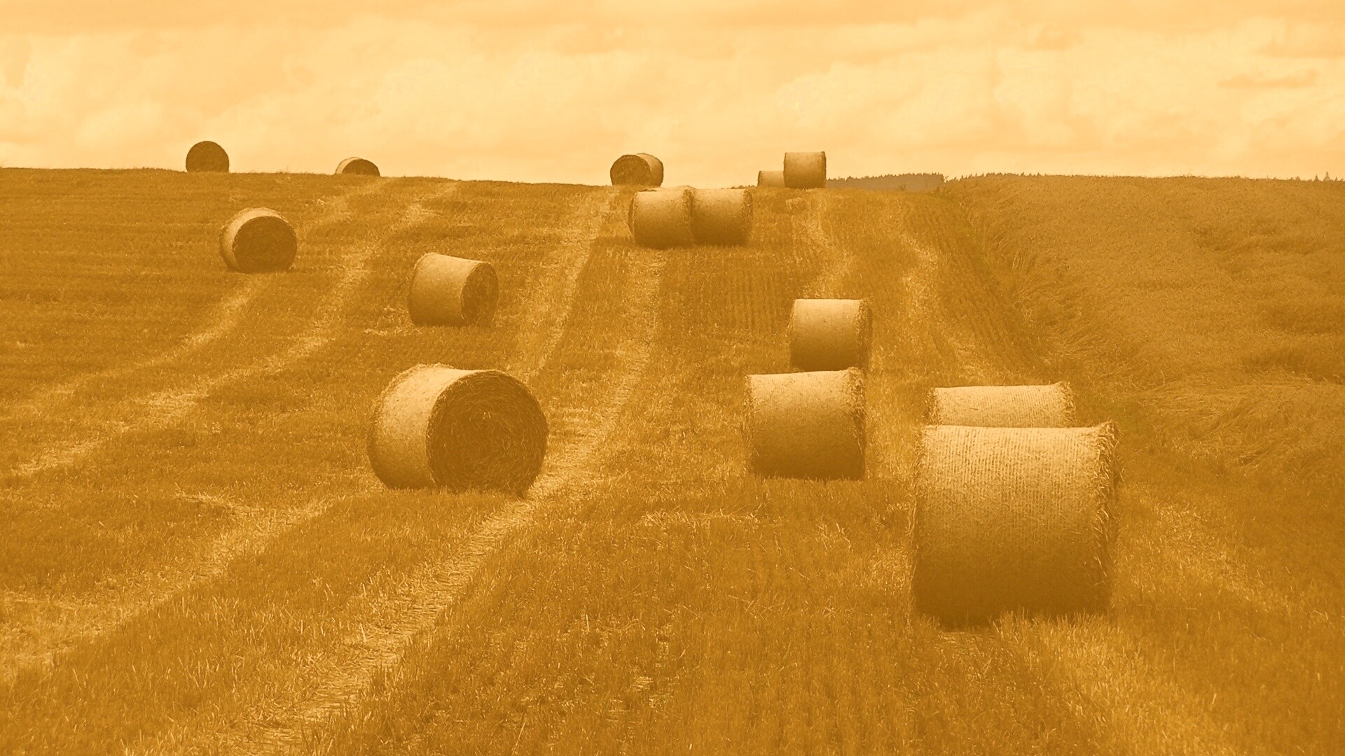 Уборка сена с поля обои