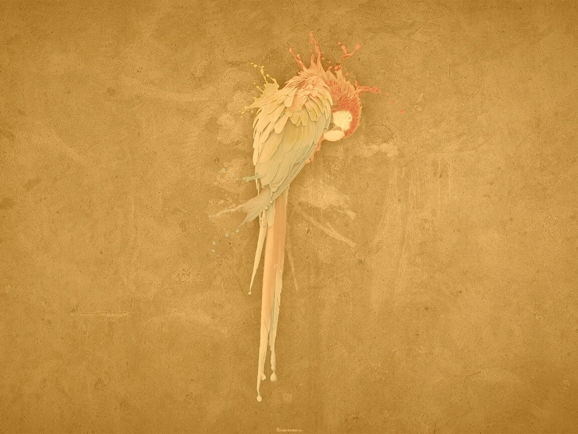 Попугай обои