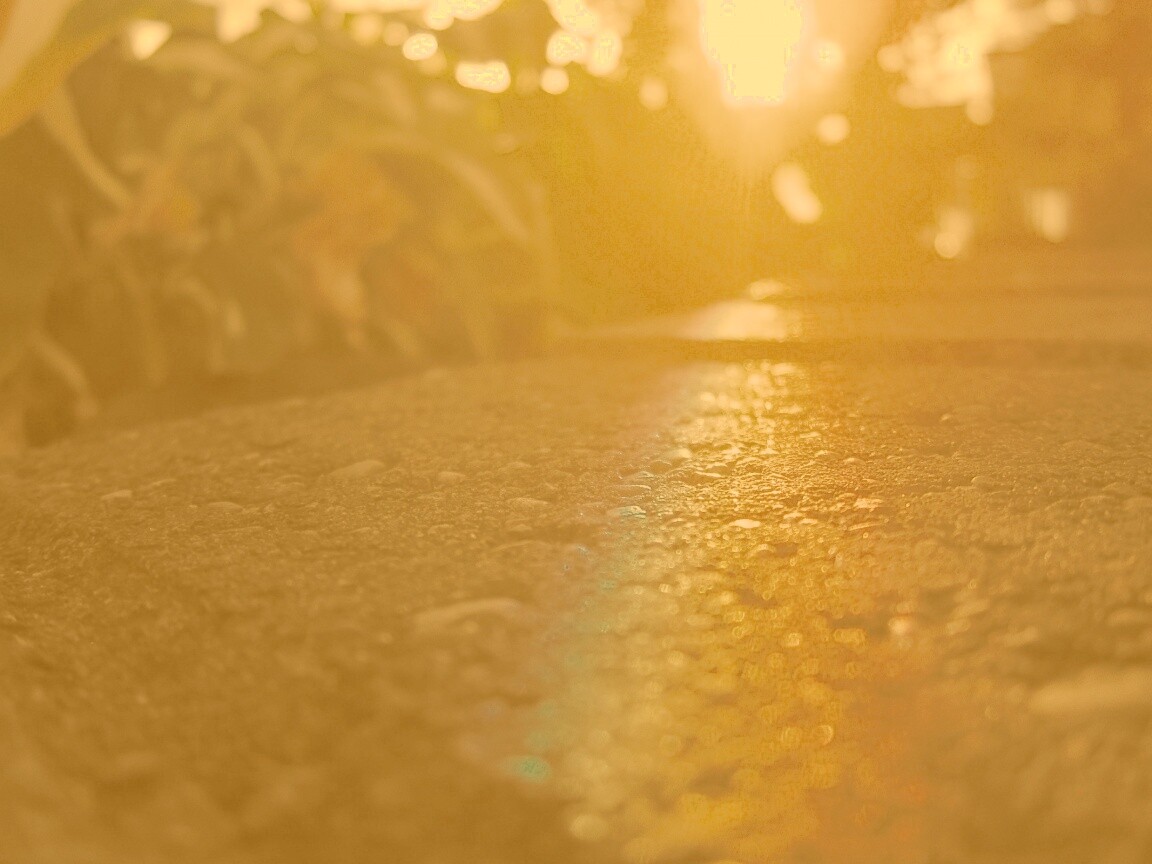 Макро радуга на камне обои