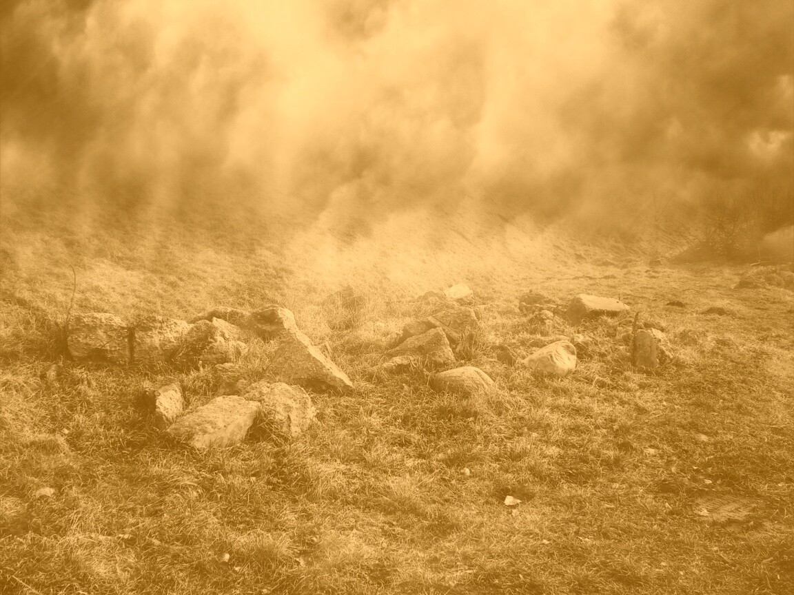 Туман на склоне обои