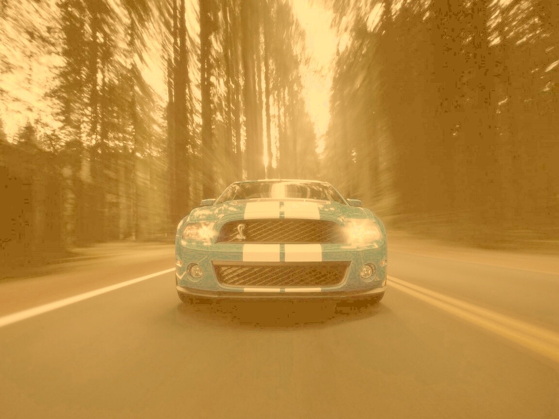 Форд Шелби обои