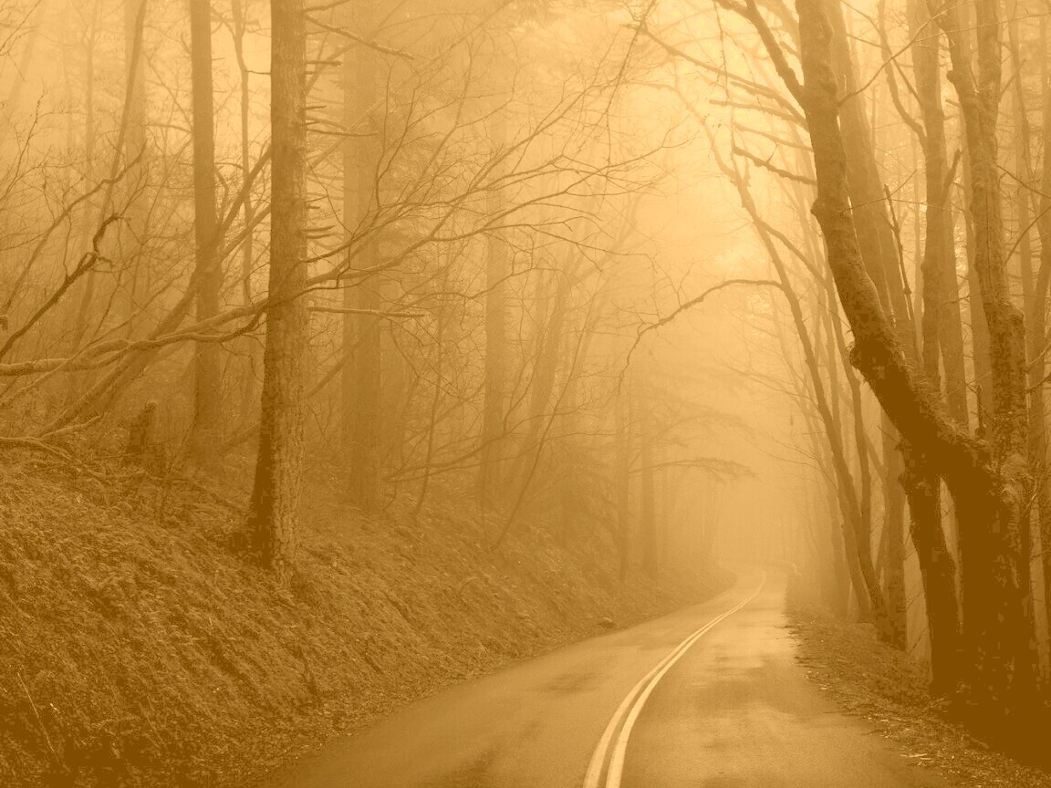 В туман обои