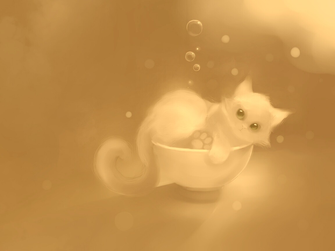 Котёнок в миске обои