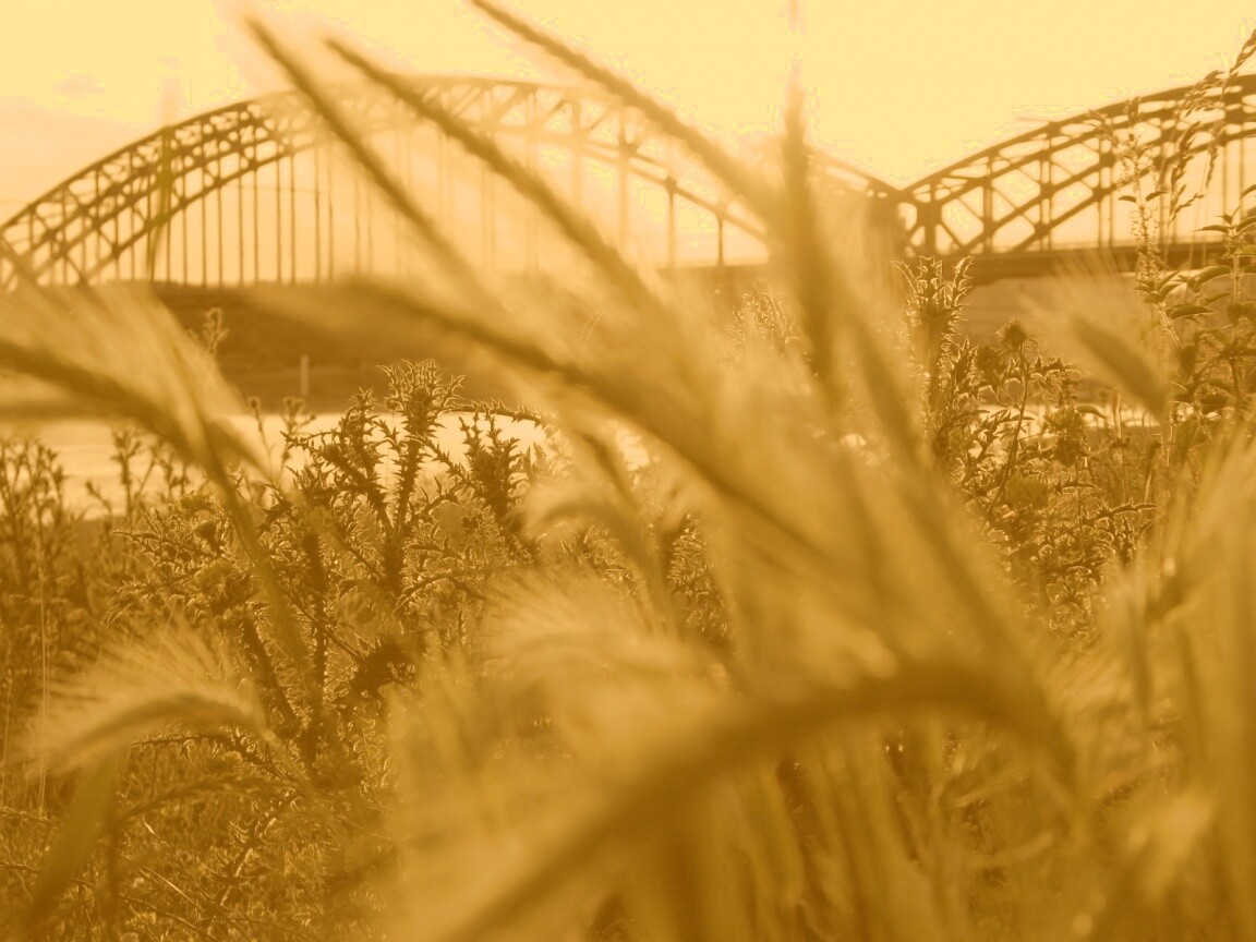 Железнодорожный мост обои