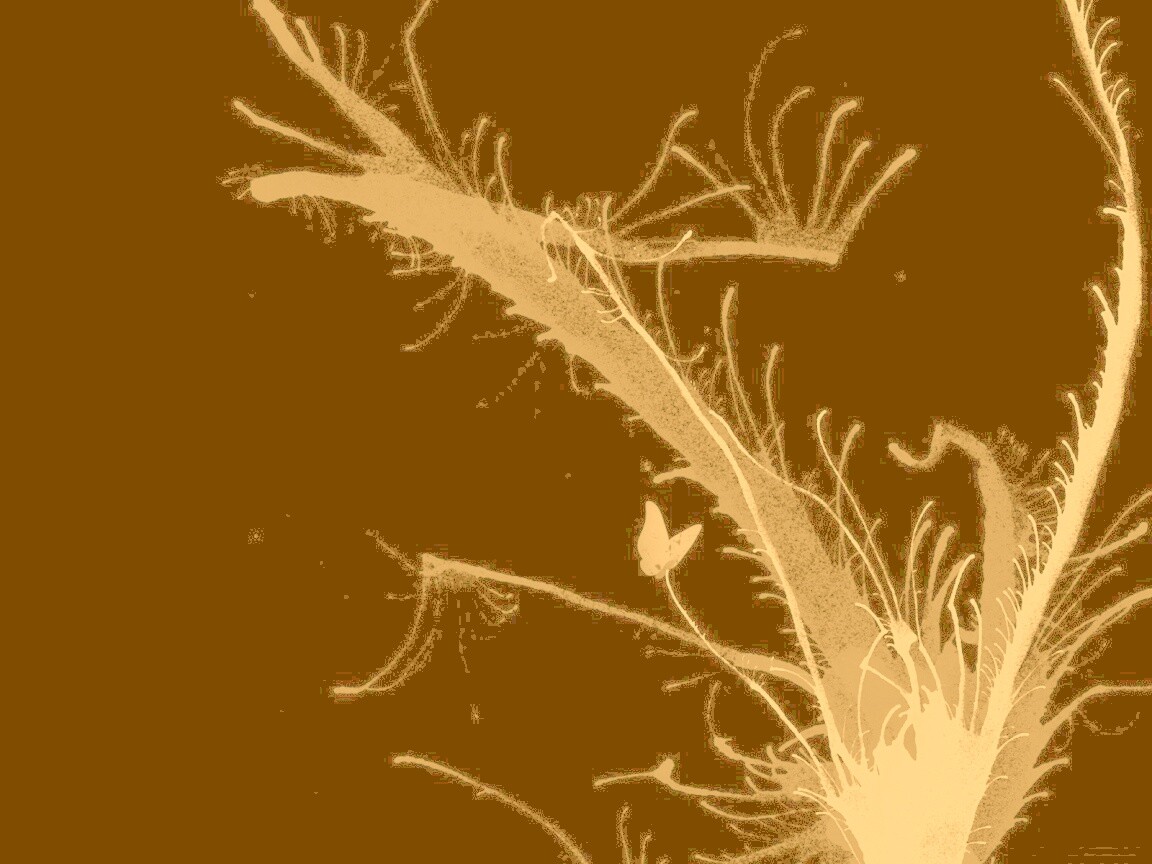 Абстракция из брызг обои