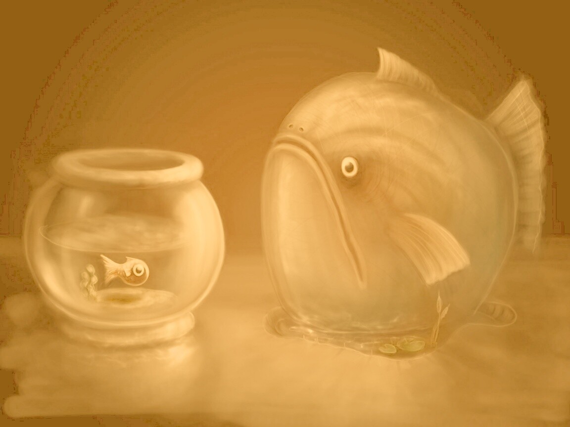 Большая и маленькая рыбки обои