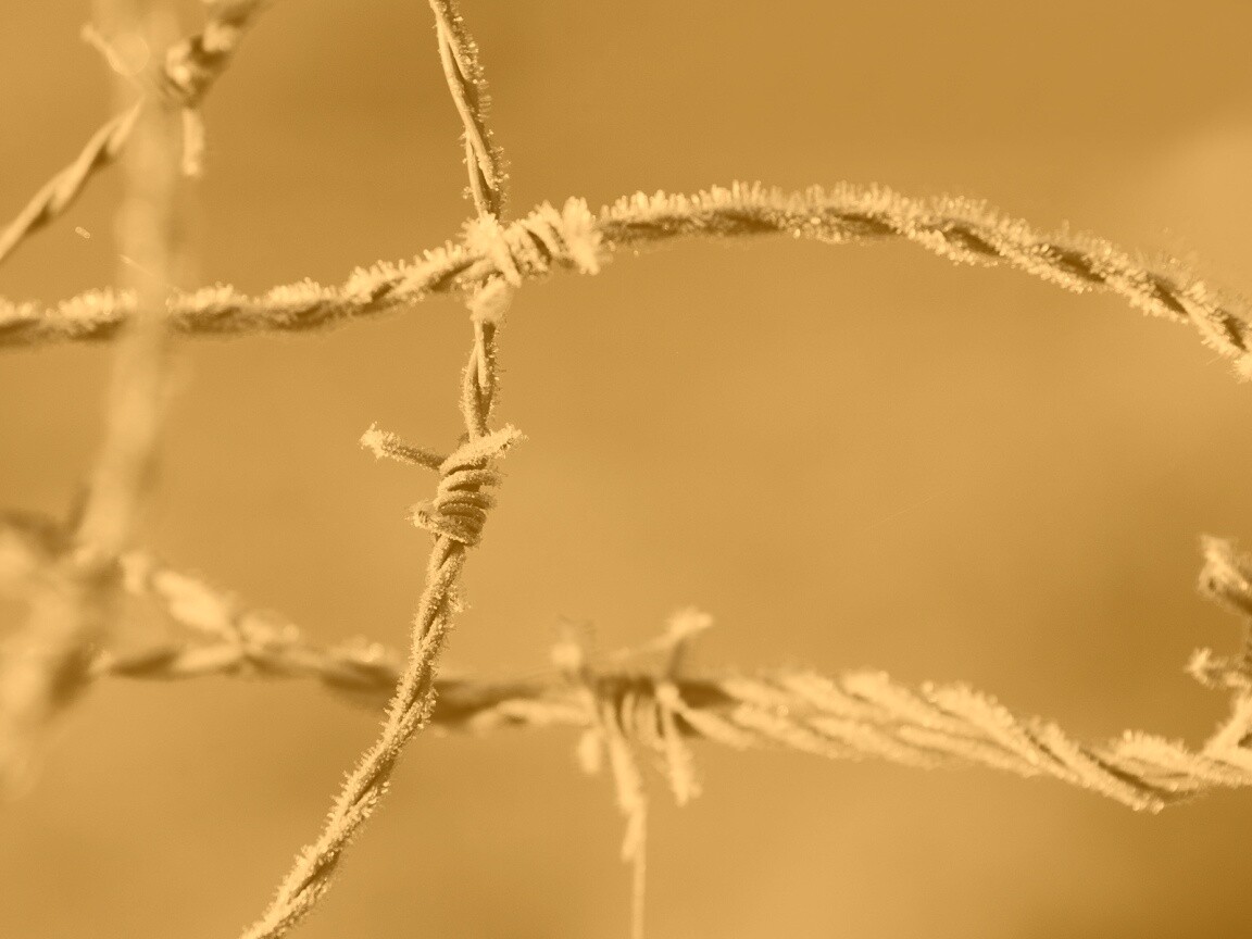 Замерзшая колючая проволока обои