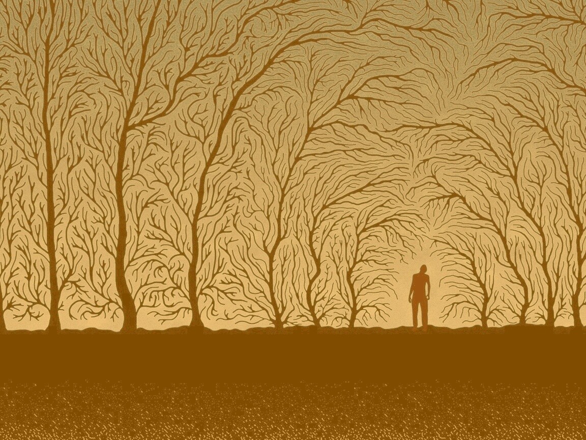 Смыкающиеся деревья обои