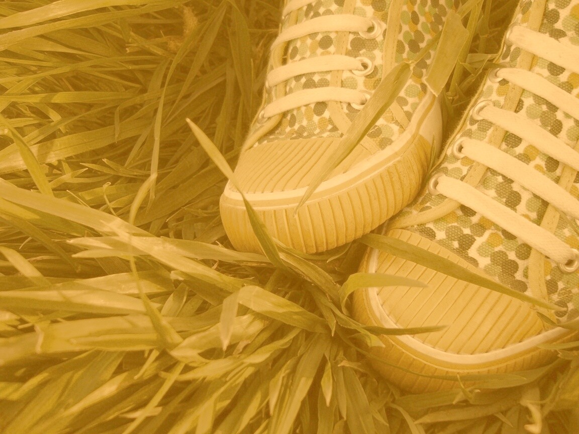 Желтые кеды в горошек обои