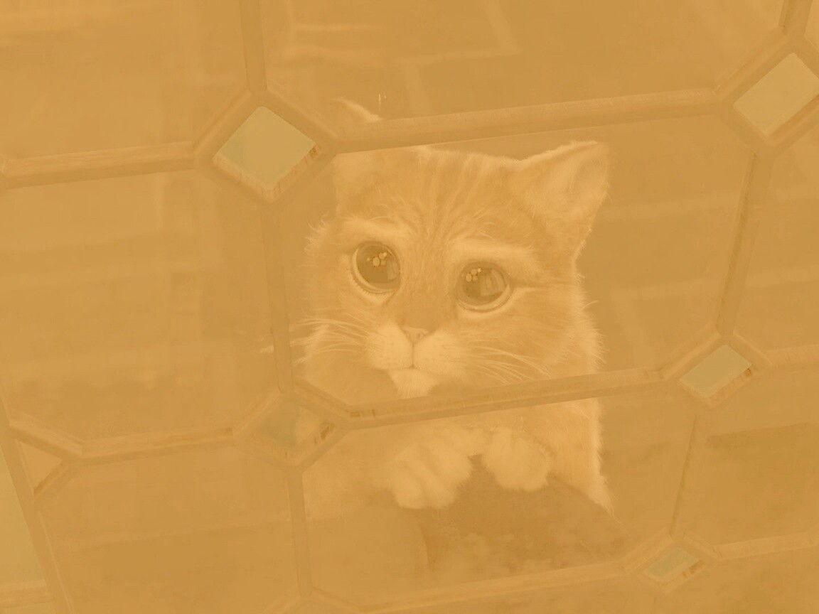 Кот в сапогах обои