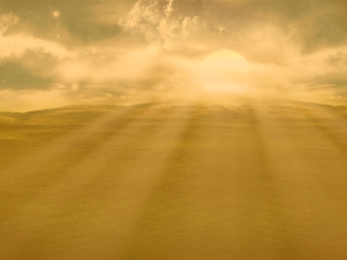 Белое солнце обои