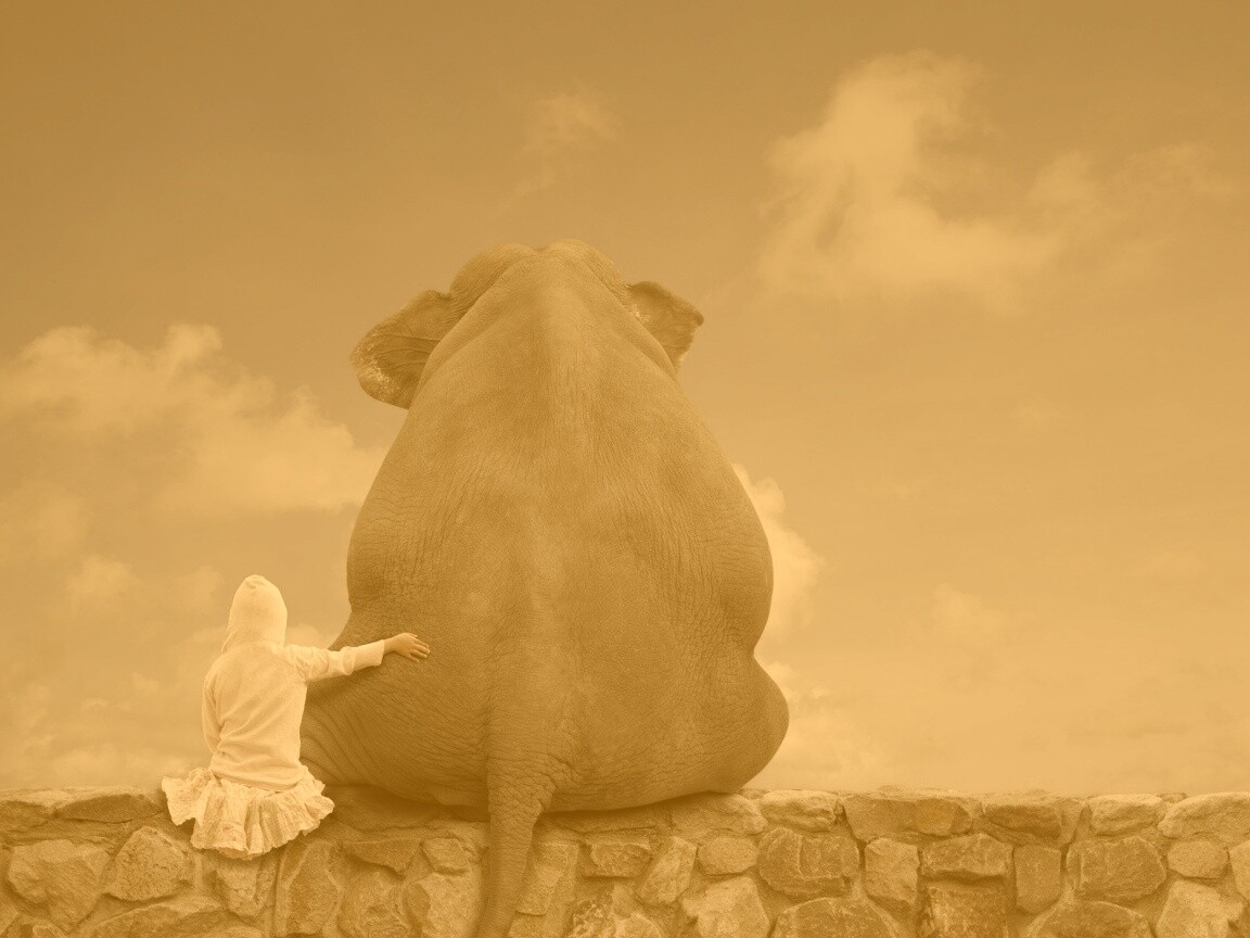 Девочка и слон обои