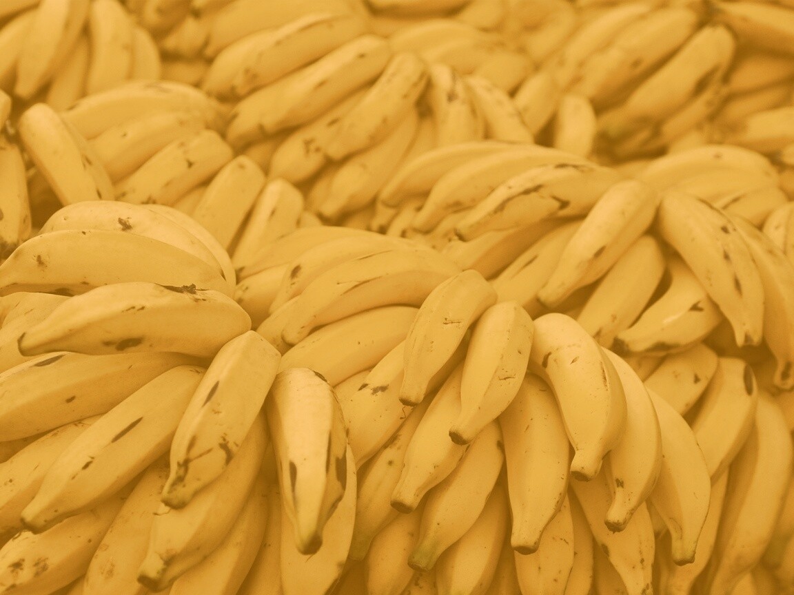 Много бананов обои