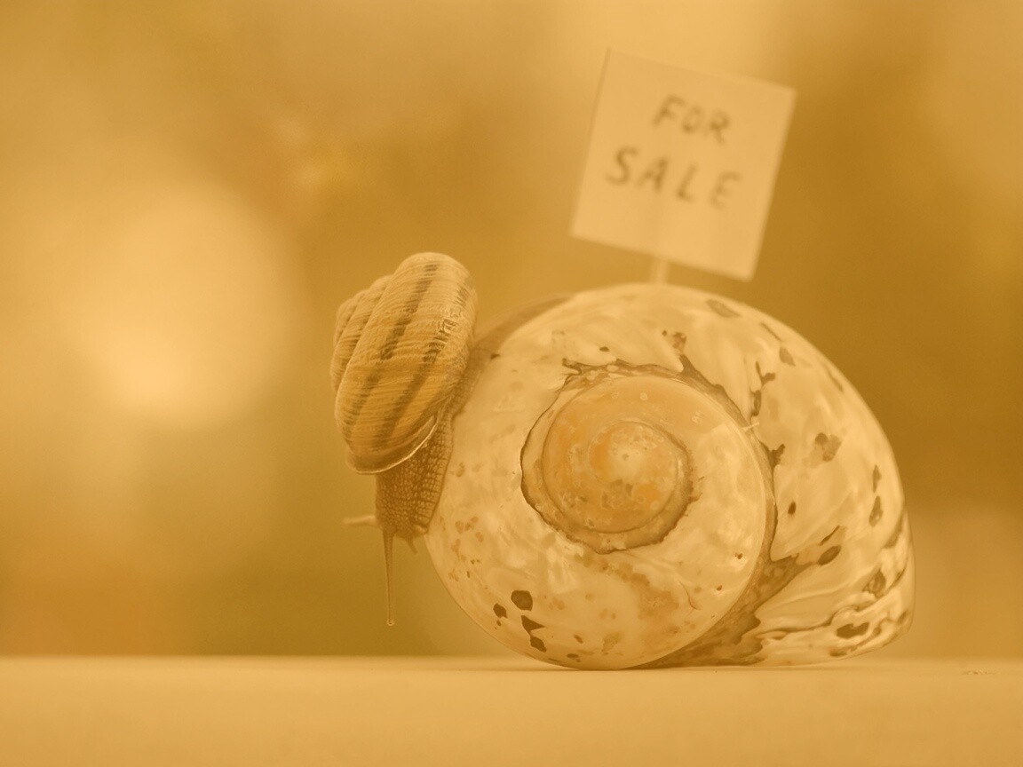 Улитка приматрвиает новый дом обои