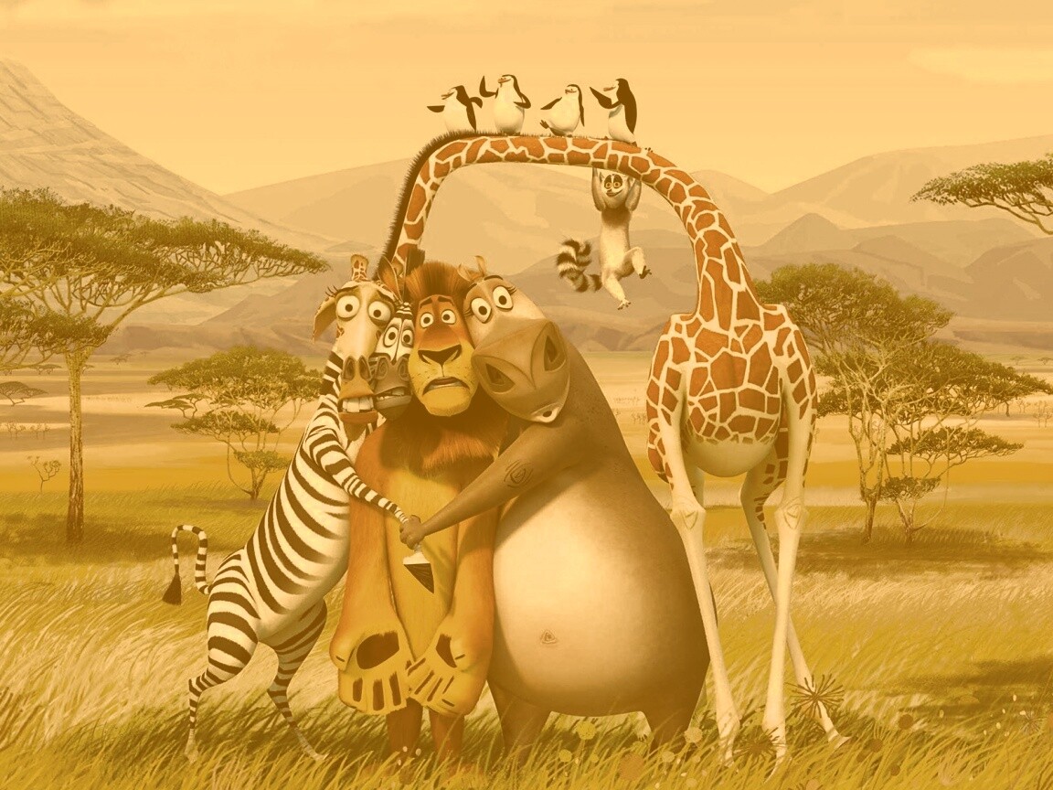 Герои мультфильма Мадагаскар обои