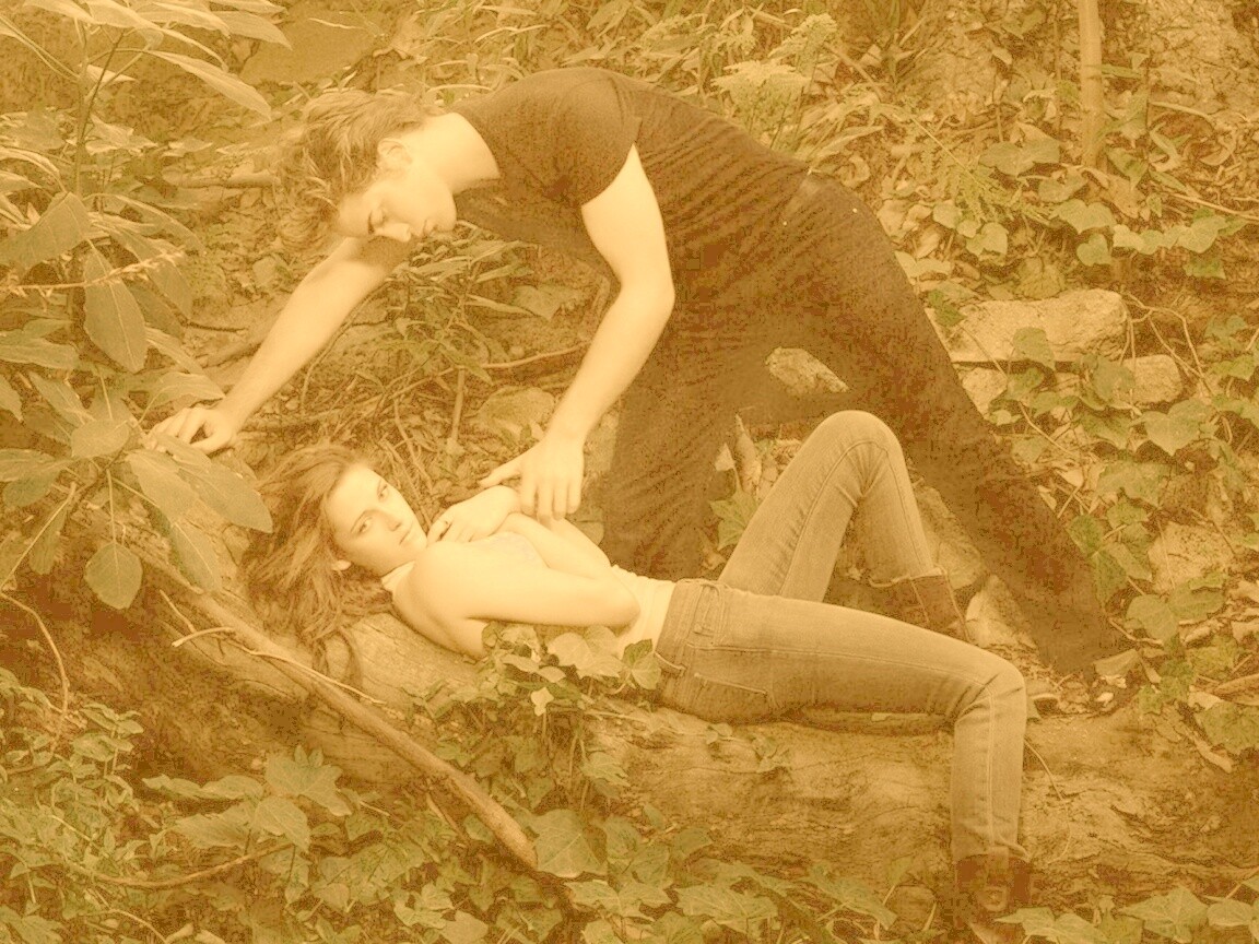 Эдвард и Белла в лесу обои