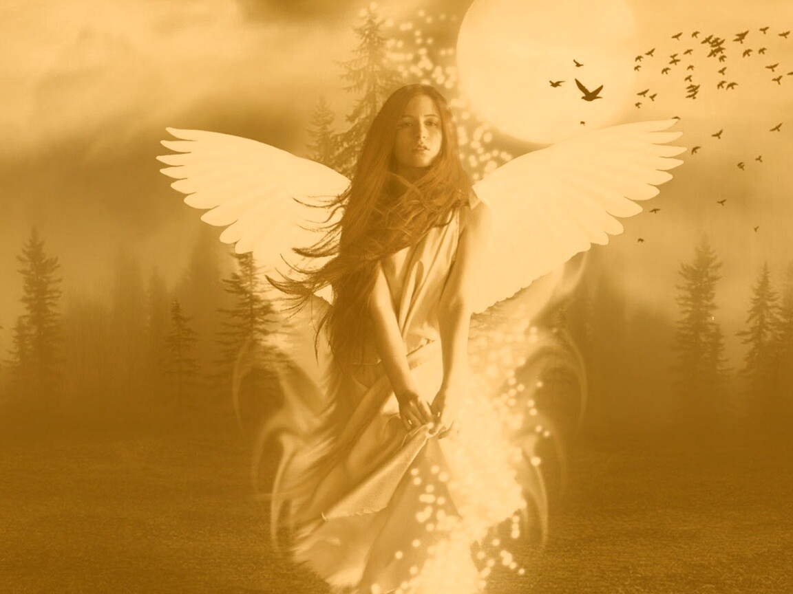Девушка-ангел обои