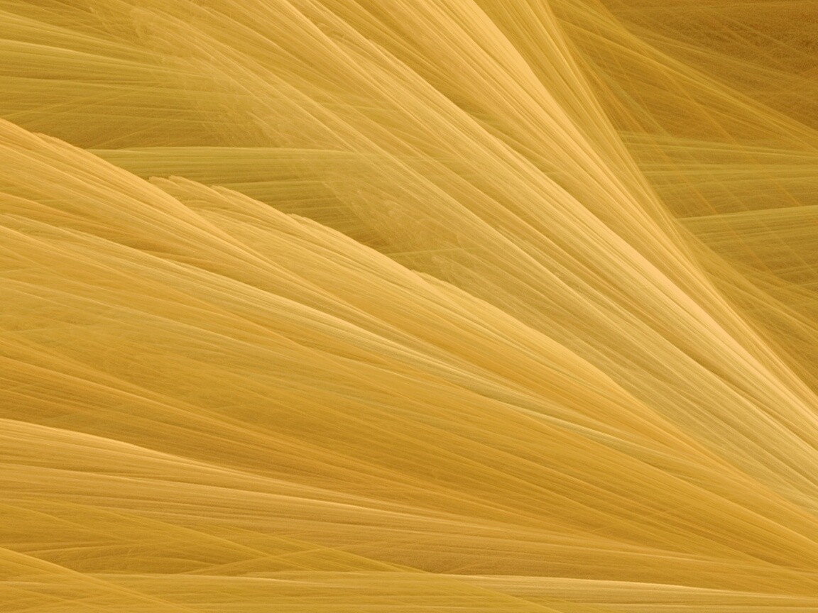 Прозрачные зеленоватые крылья обои