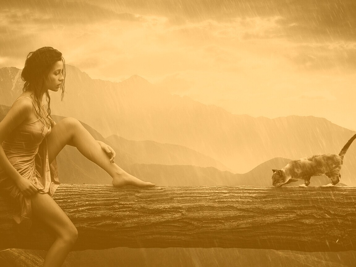 Девушка и кошка обои