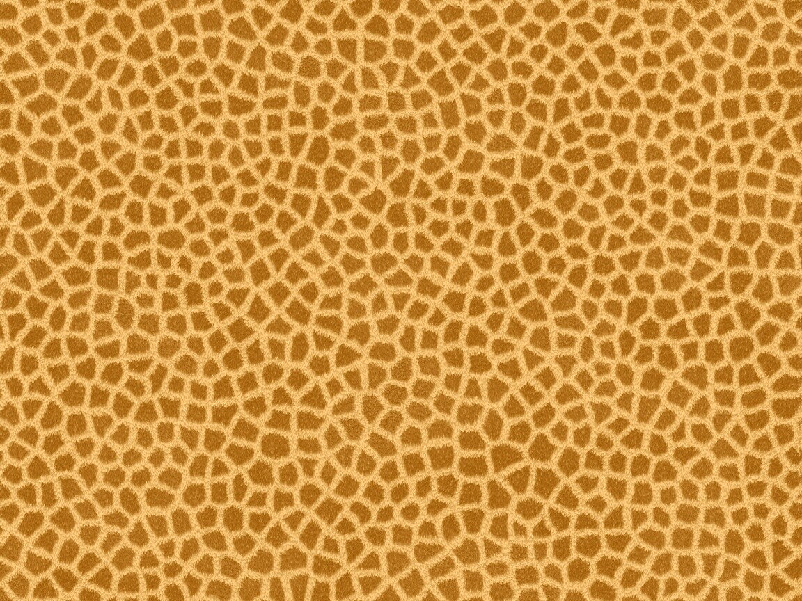 Текстура шкуры жирафа обои