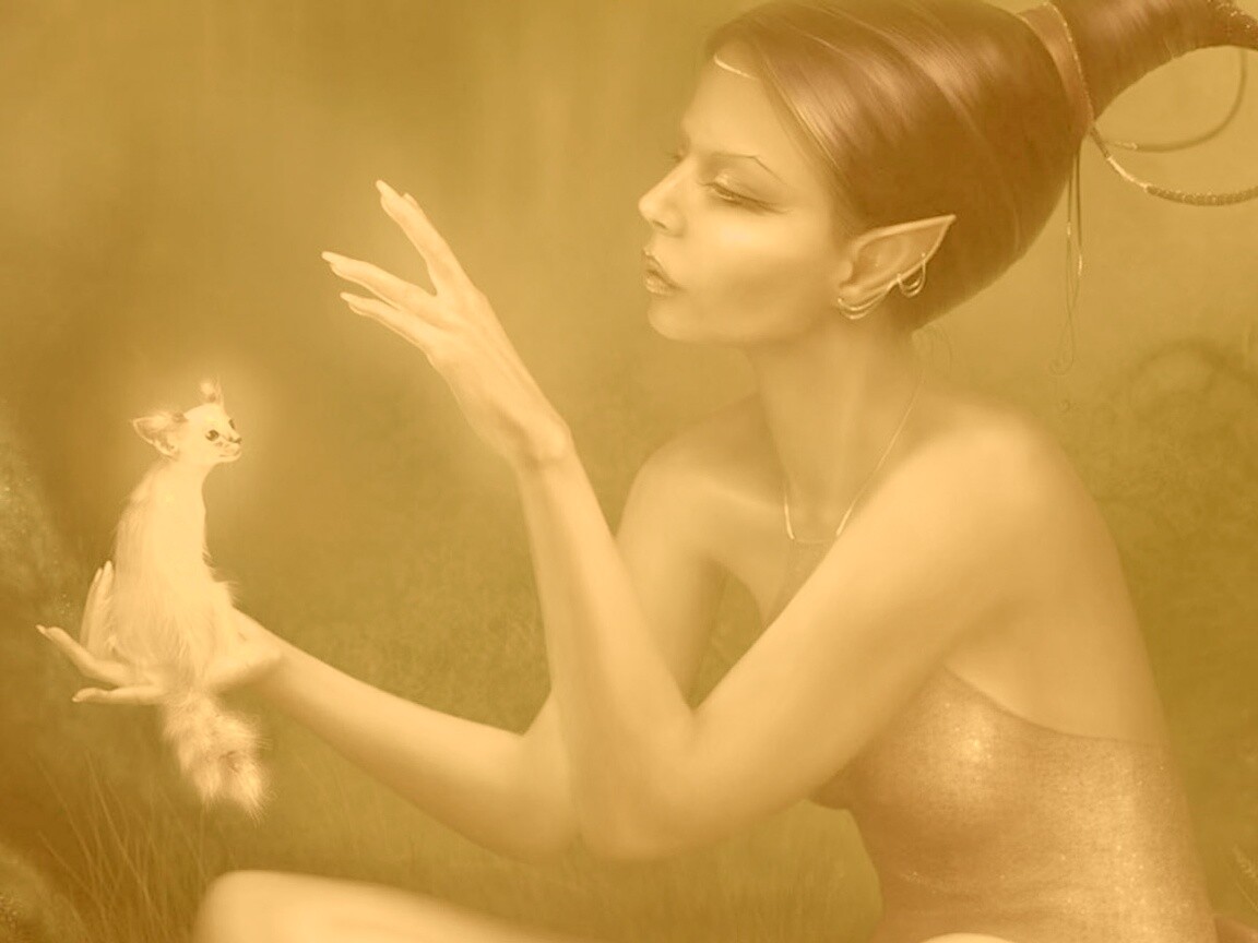 Почет и процветание обои