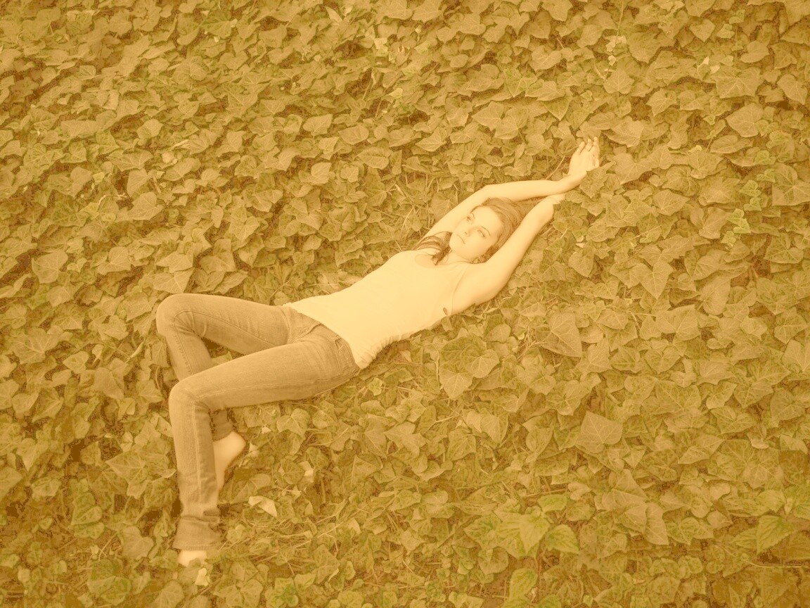 Кристен Стюарт на ковре из листьев обои