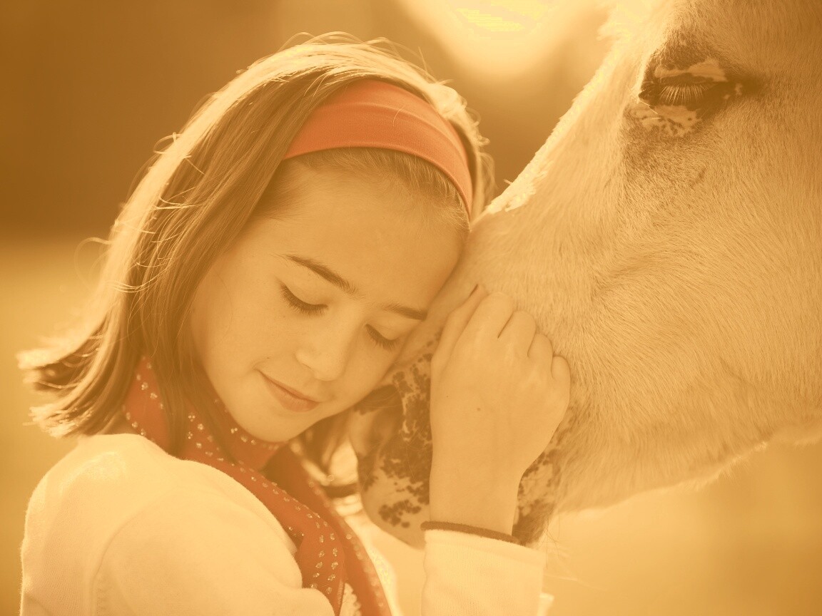 Девочка и лошадь обои