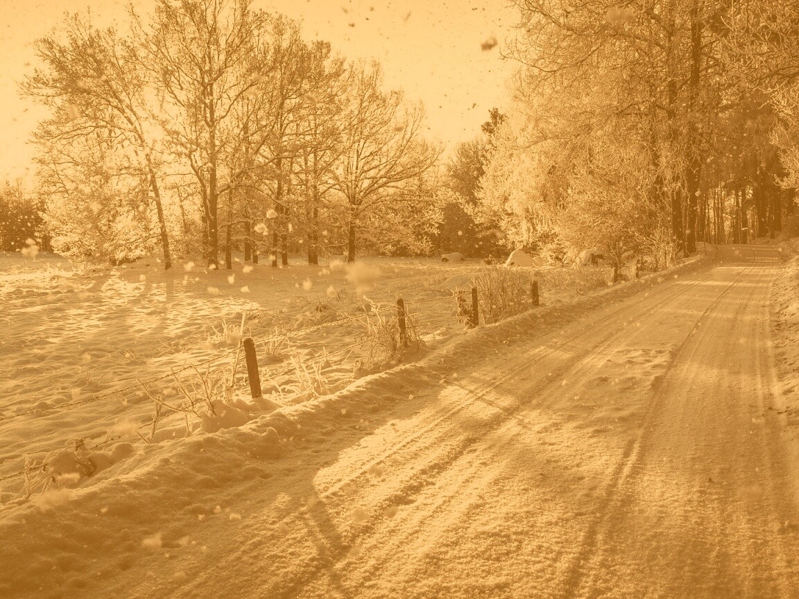 Снежная дорога залитая солнцем обои