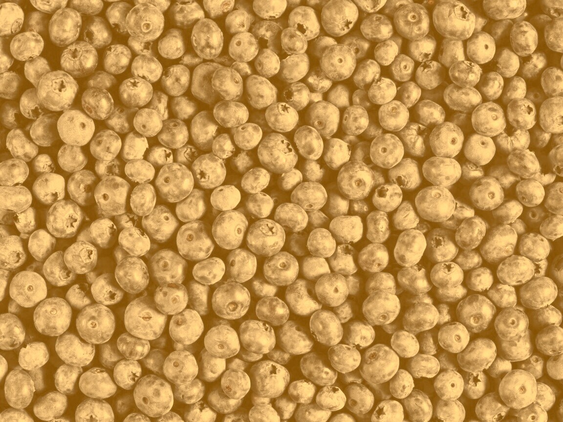 Черника обои