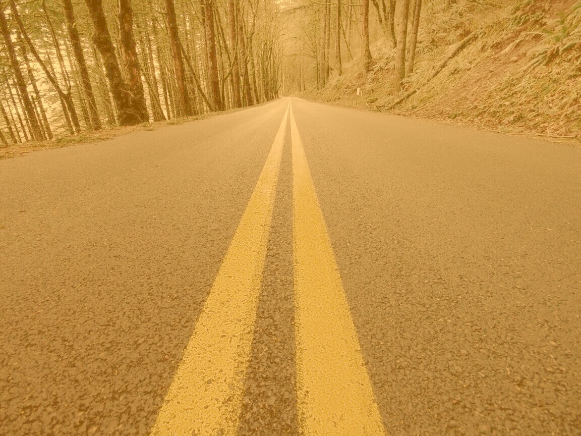 Дорога в лесу обои