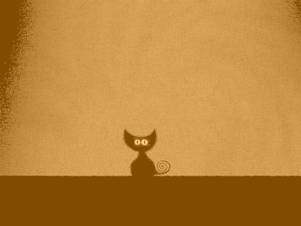 Чёрный кот в ночи обои