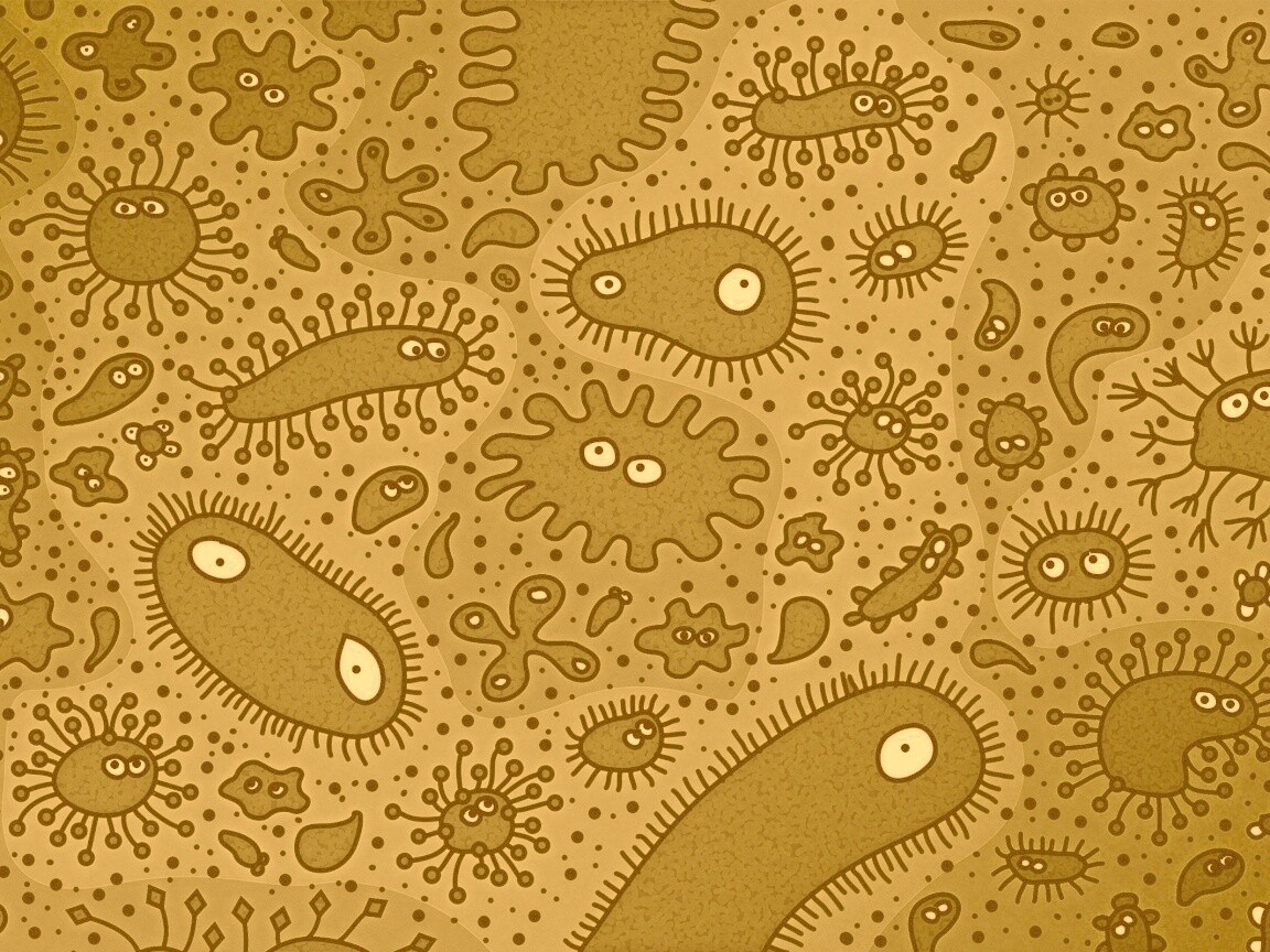 Микроорганизмы обои