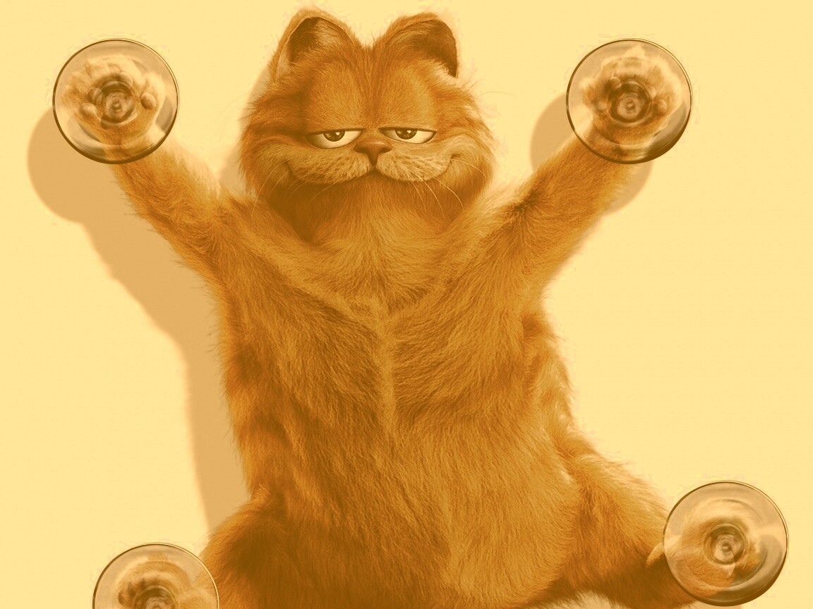 Рыжий проказник обои