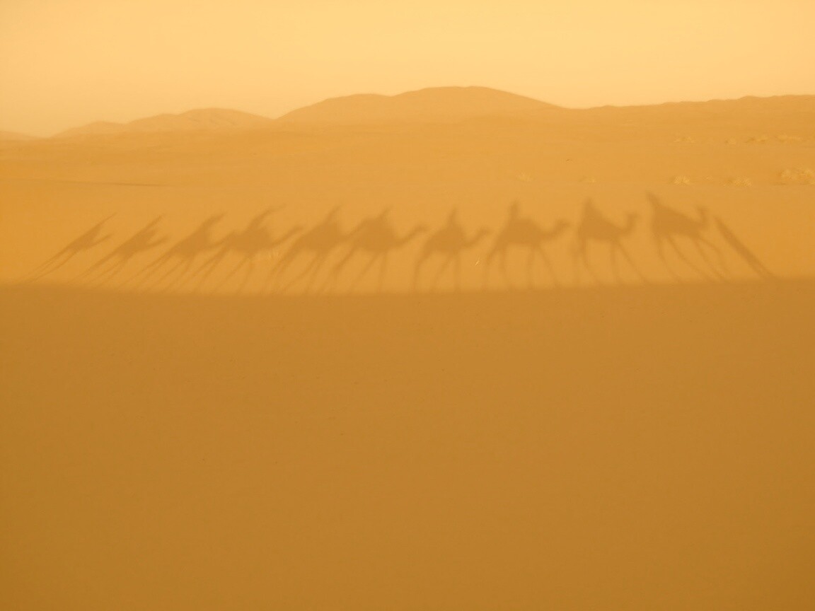 Караван обои