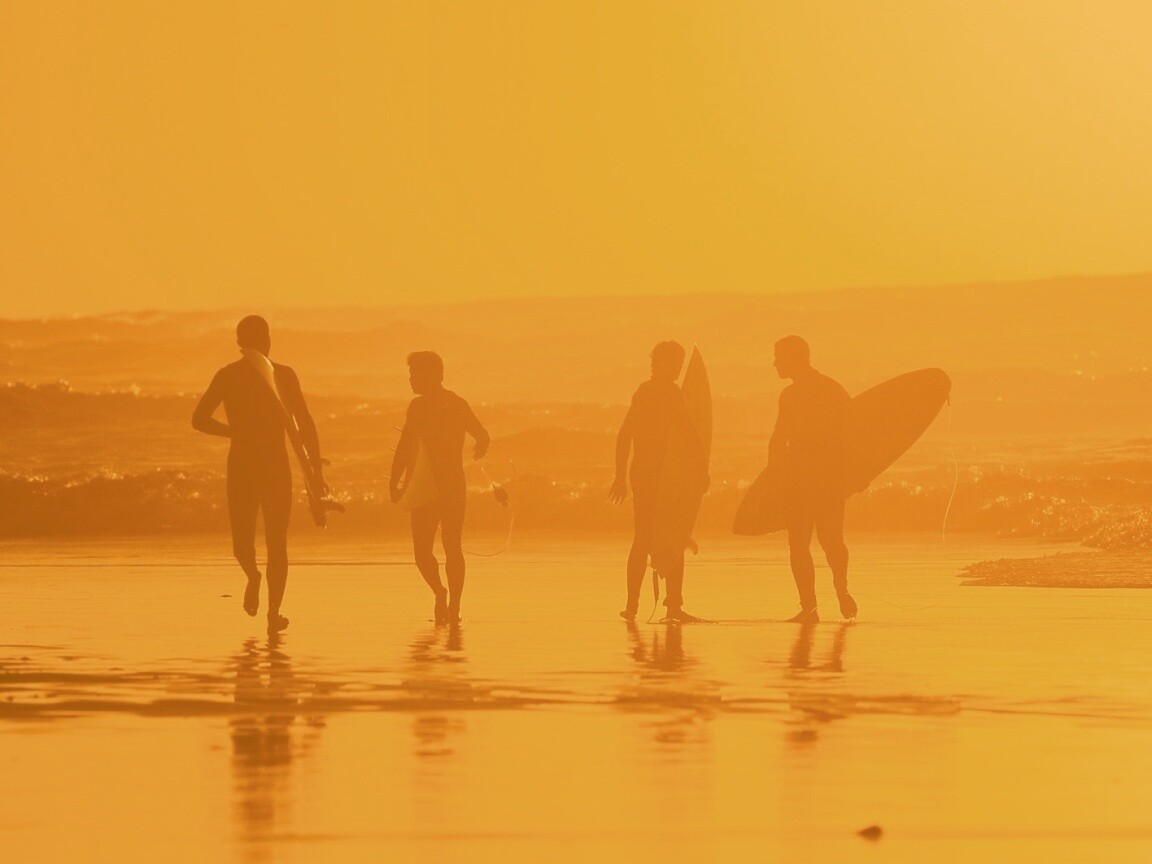 Серфингисты обои