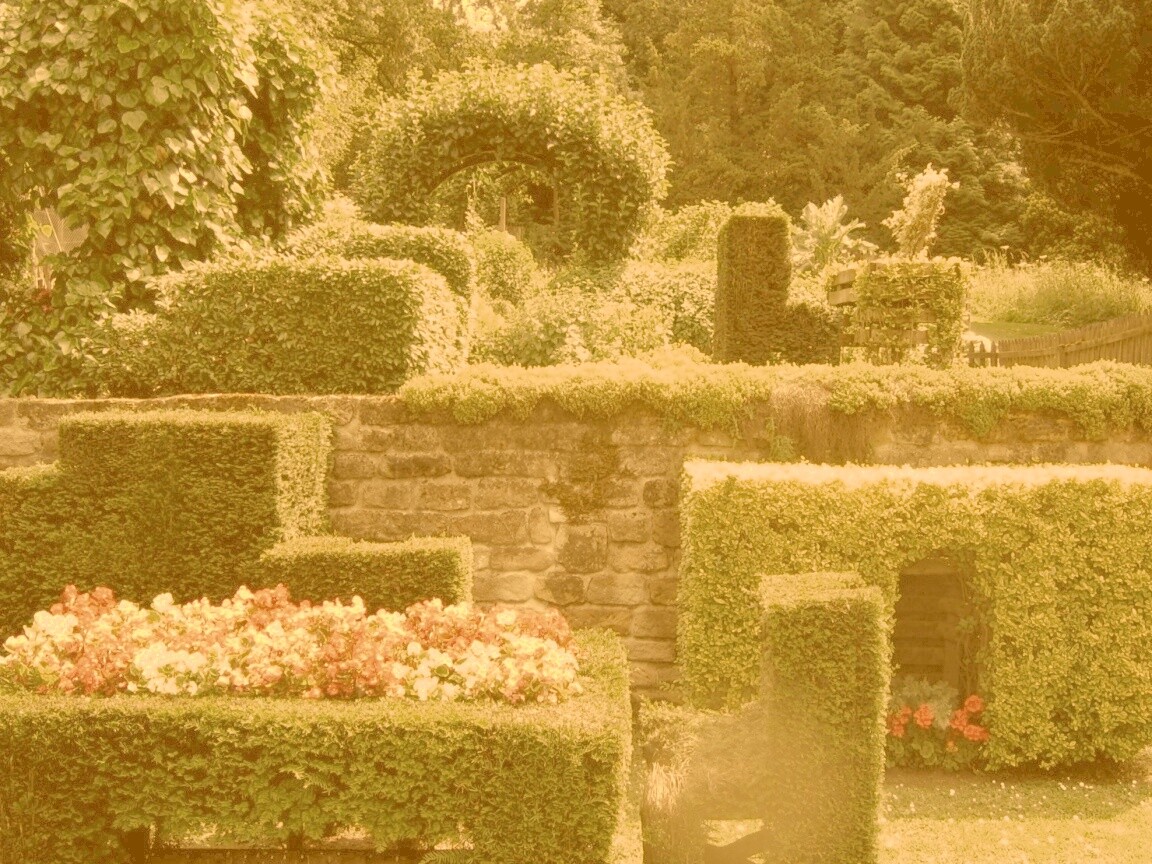 Декоративный сад обои