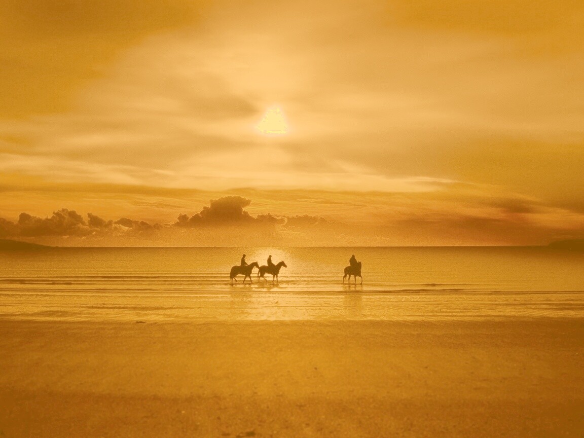 Наездники на закате обои