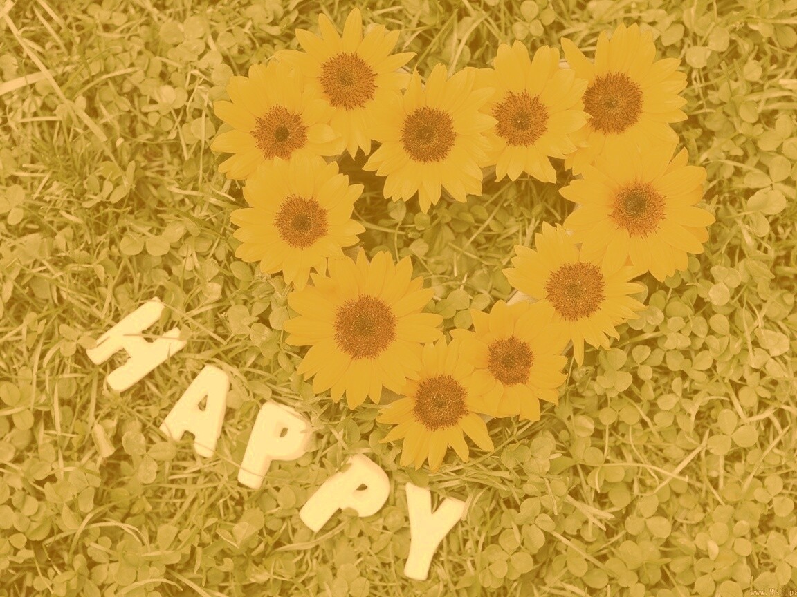 Радость обои