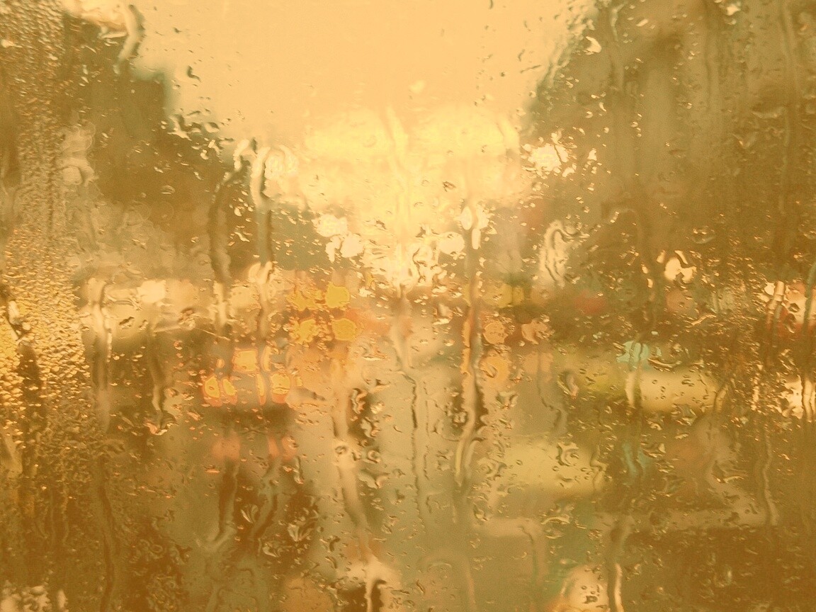 После дождя обои