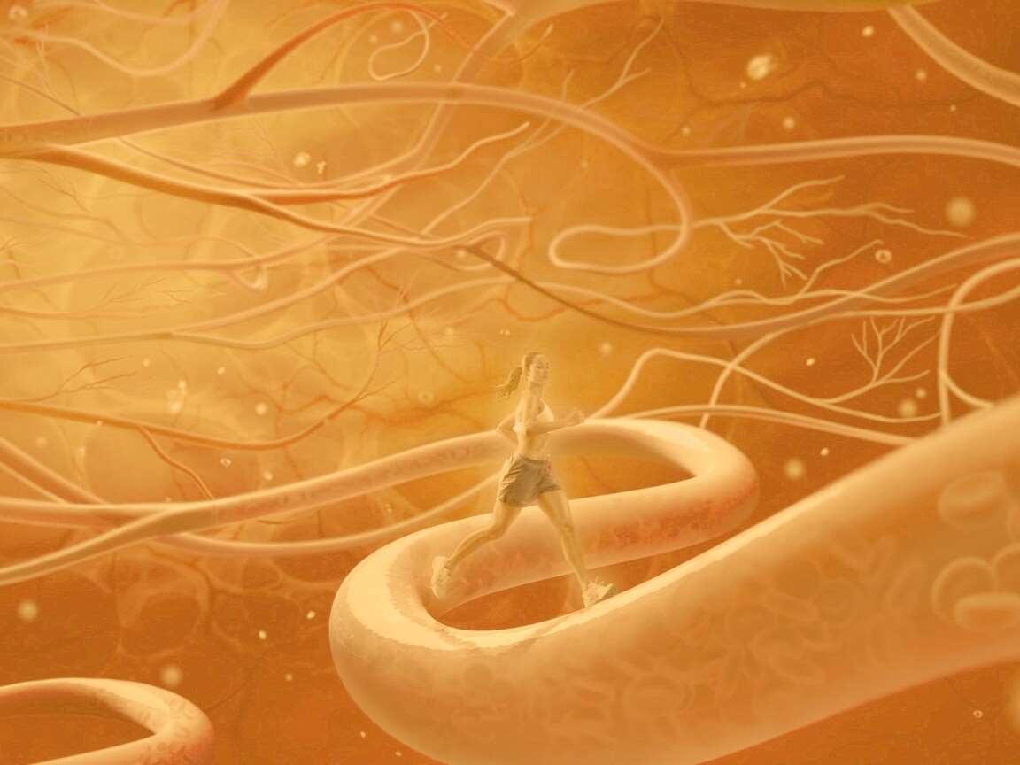 Бег крови обои