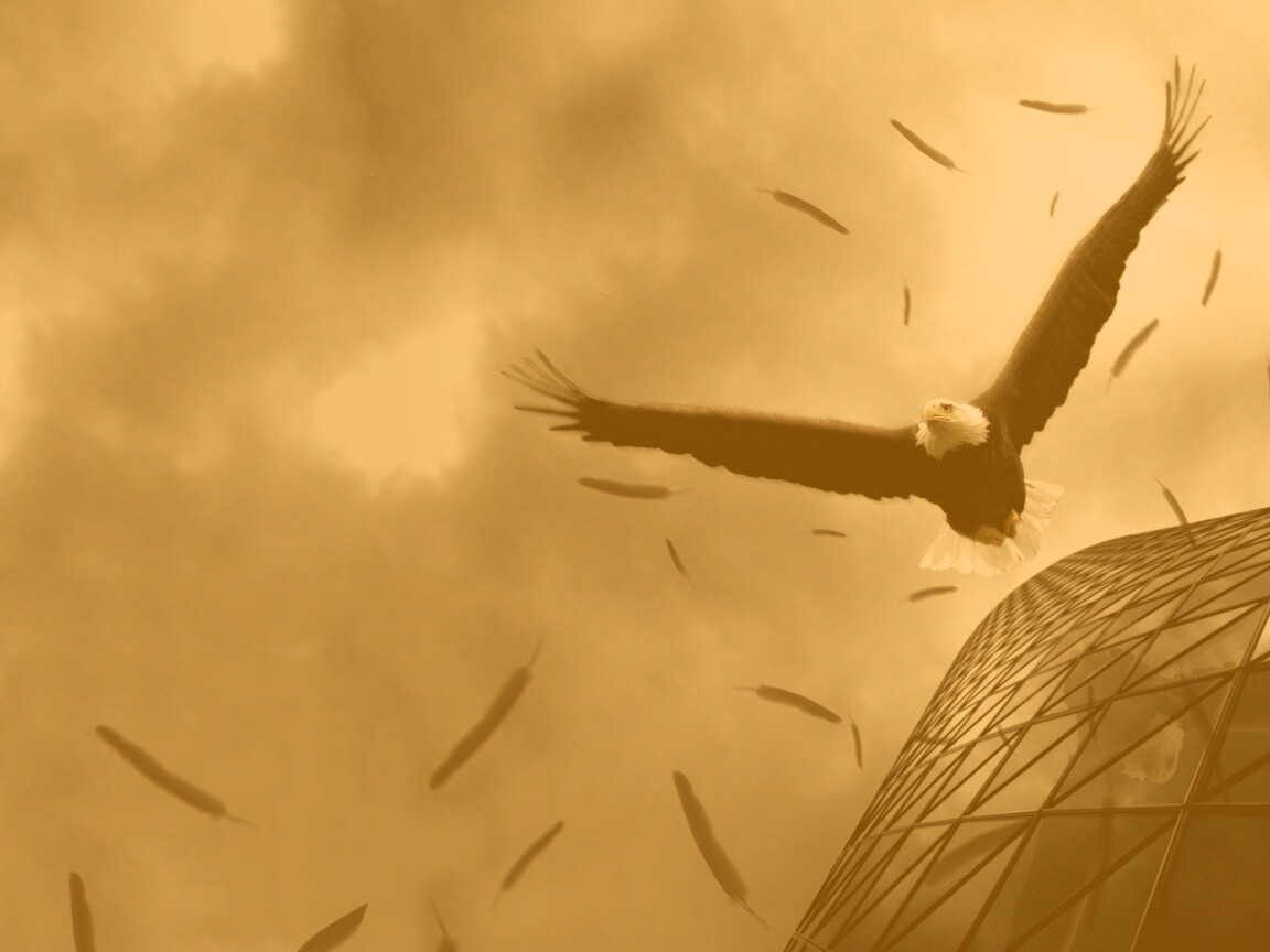 Орлиный полет обои