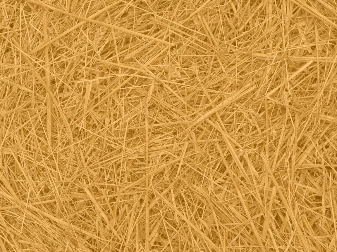 Сено обои