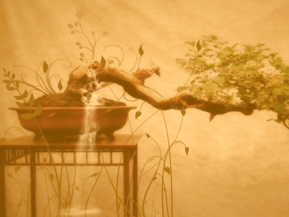 Карликовое дерево обои