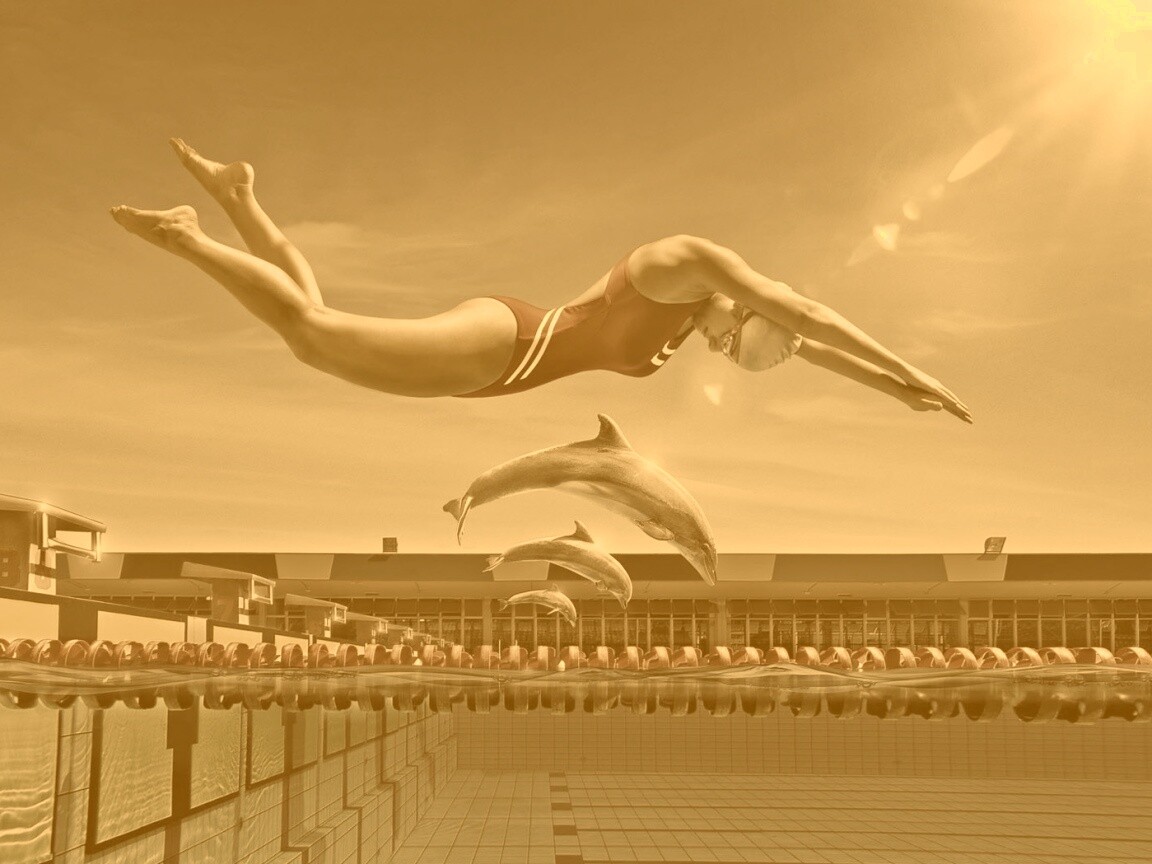 Соревнование обои