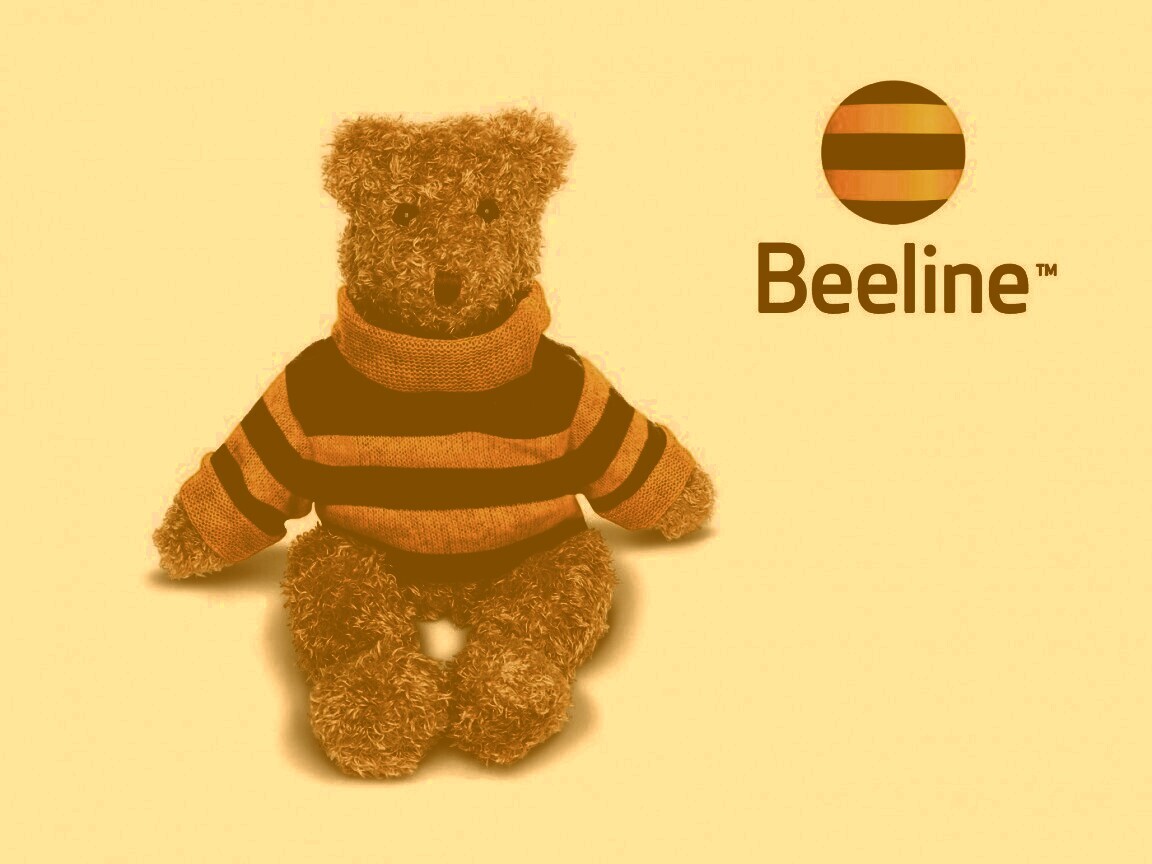 Мишка beeline обои