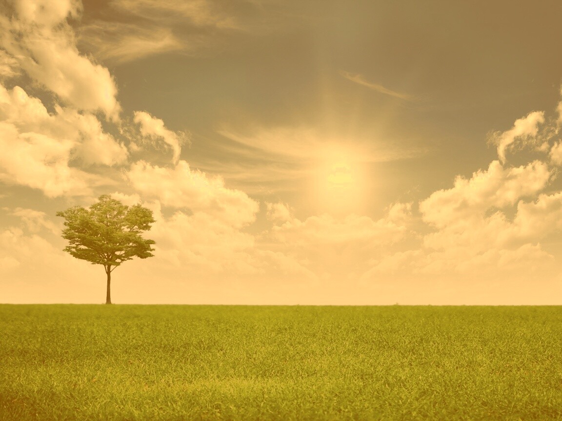 Один в целом мире обои